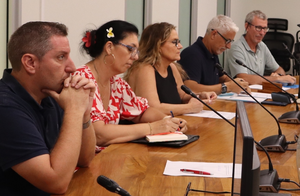 De gauche à droite : Monsieur Manu BERTHIER, madame Laetitia BENIZEAU, madame Aure HARBULOT, monsieur Christophe DABIN, monsieur Michel QUINTIN.