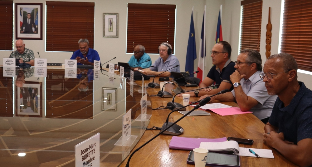 Le président du CESE NC et les membres de la CCJS et de la CSPS.