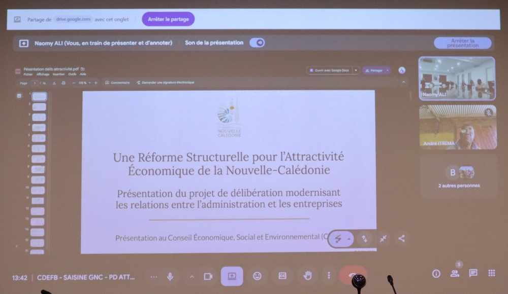 Présentation par la direction des affaires juridiques du gouvernement de la Nouvelle-Calédonie.