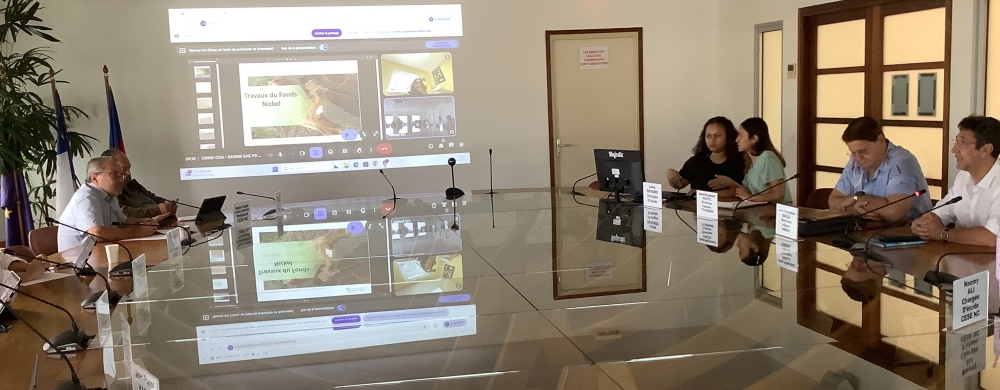 De gauche à droite : Le Président du CESE-NC : Jean-Louis d’ANGLEBERMES; le secrétaire du bureau du CESE-NC : Gaston POIROI, la chargée d’études du CESE-NC : Naomi ALI, la chargée d’études de la DIMENC : Lena PAYANDI, le directeur de cabinet de M. TYUIENON : Jean-Raymond POSTIC, le directeur adjoint de l’industrie des mines et de l’énergie du gouvernement de la Nouvelle-Calédonie : Jean-Sébastien BAILLE.