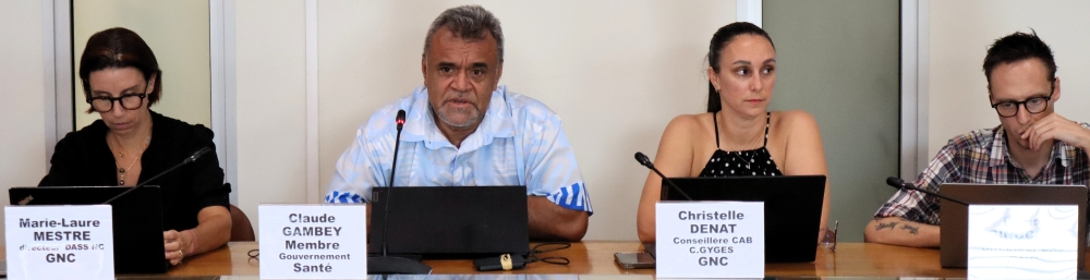 Mme Mestre, M. Gambey, Mme Denat, M. Ginocchi