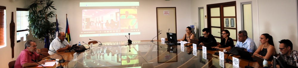 Membre de la commission en visio conférence.