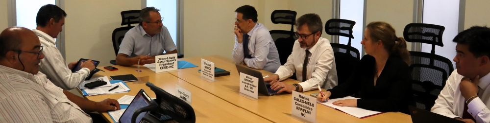 Président et membres de la mission. 