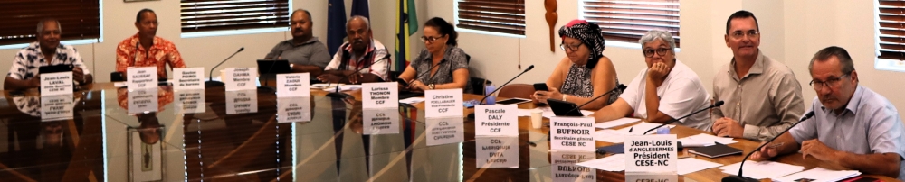 Commission de la condition féminine élargie au Bureau.