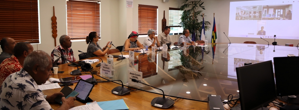 Commission de la condition féminine en visioconférence.