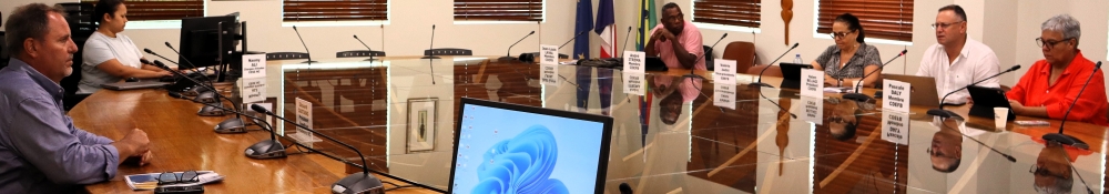 La commission du développement économique, de la fiscalité et du budget du CESE-NC.