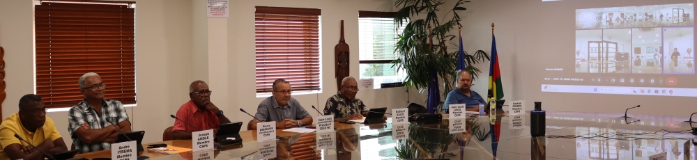 Conseillers en visioconférence.