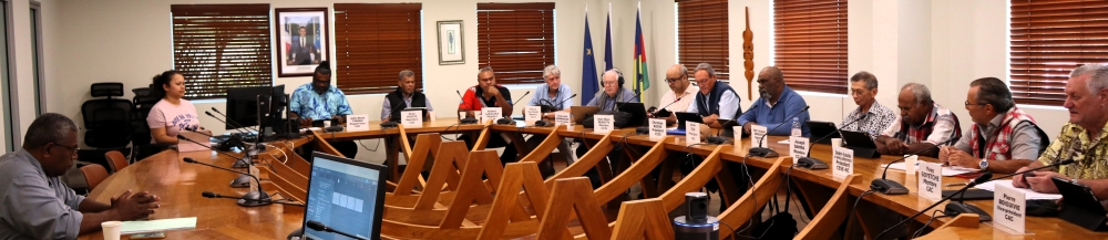 Conseillers du CESE-NC
