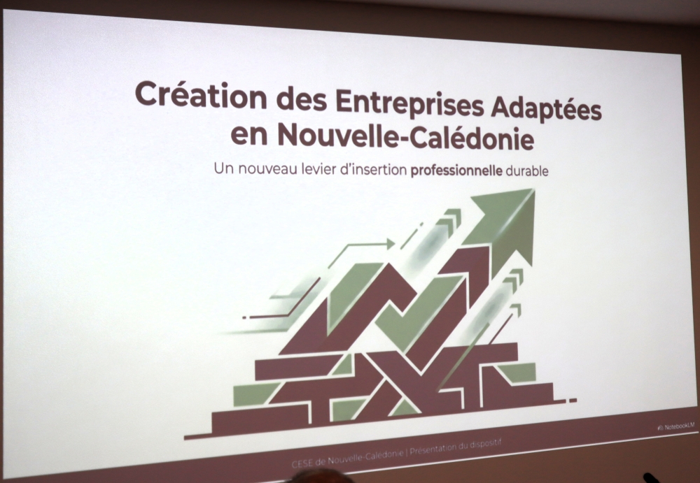 Présentation powerpoint du gouvernement.