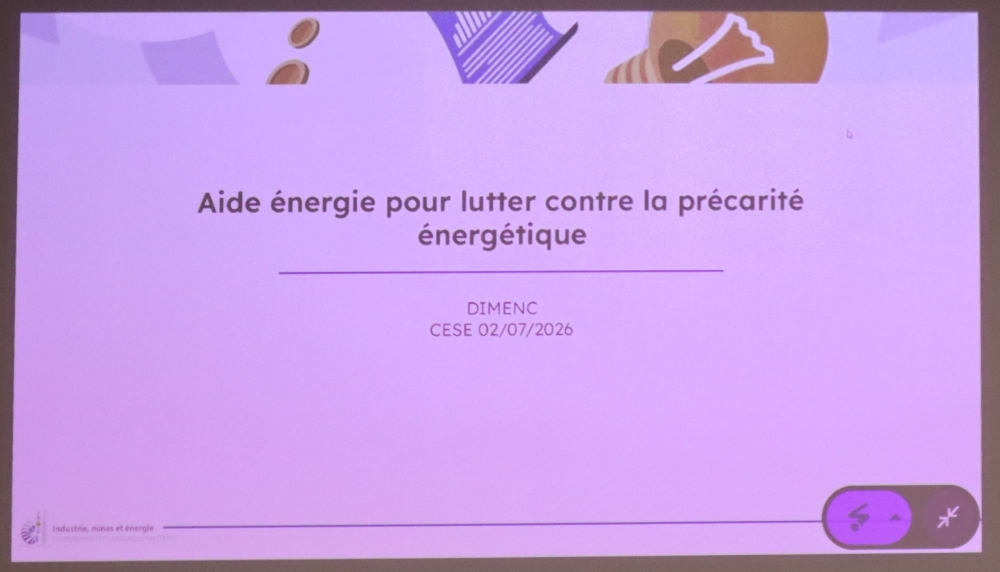 Présenation powerpoint de la DIMENC.