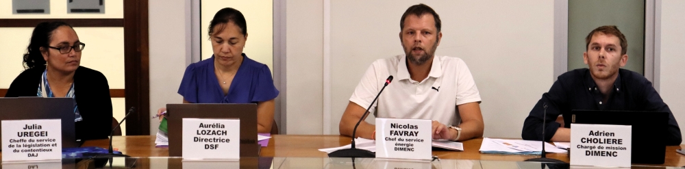 Julia Uregei, Aurélia Lozach, Nicolas Favray et Adrien Choliere.