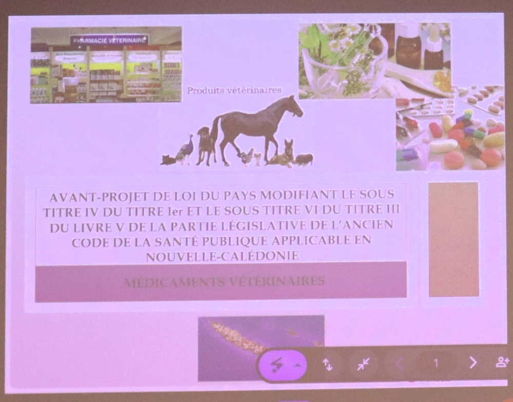 Présentation powerpoint de la DAVAR.