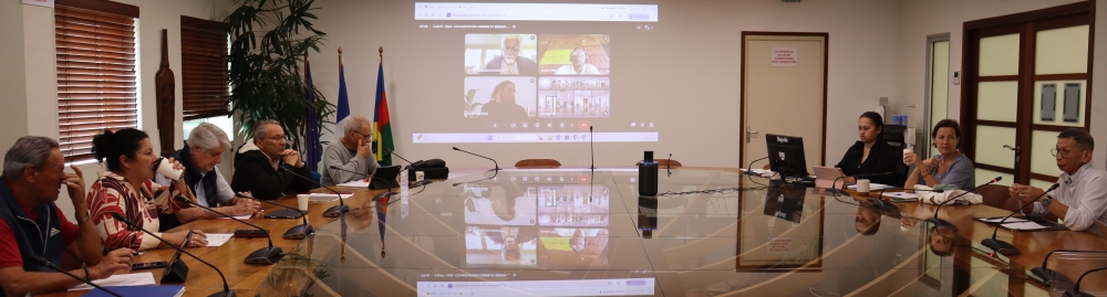 Conseillers en visioconférence.