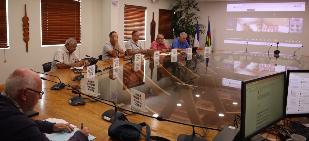 Membres de la commission en présentiel et en visioconférence