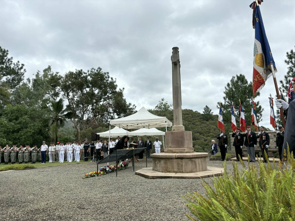 Rozanna Roy, 1ère vice-présidente du CESE-NC