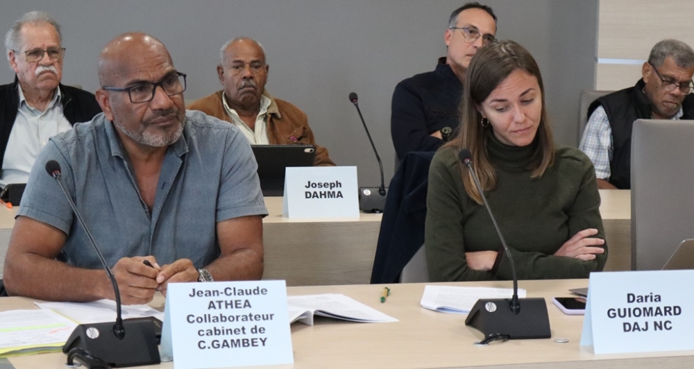 Invités au premier rang; de gauche à droite : monsieur Jean-Claude ATHEA, collaborateur au cabinet de M. GAMBEY, madame Daria GUIOMARD, de DAJ-NC.
