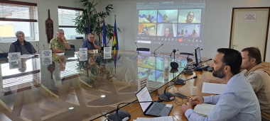 Auditions au CESE concernant des modifications sur le système électrique