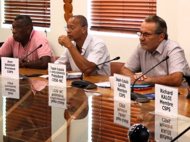 Commission de la santé et de la protection sociale.