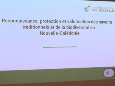 Présentation des affaires juridiques du gouvernement.