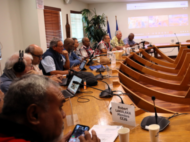 Membres de la commission des affaires coutumières ainsi que de la culture, de la jeunesse et des sports.