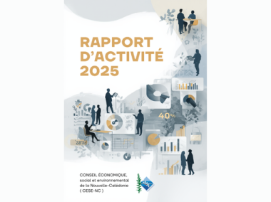 2025 Rapport d'activité