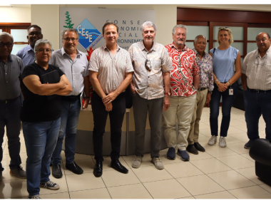 de gauche à droite - M. Richard KALOÏ (3ème VP du CESE-NC), M. Daniel RONEICE (conseiller de M. MARTERLIN, président de Prony Resources), Mme Pascale DALY (vice-présidente de la commission des mines, de la métallurgie et des énergies du CESE-NC), M. Jean-Louis d’ANGLEBERMES ( président du CESE-NC), M. Thibault MARTERLIN ( Président de PRONY RESOURCES), M. Patrick OLLIVAUD ( 4ème vice-président du CESE-NC), M. Yves GOYETCHE ( 2ème vice-président du CESE-NC), M. Jean-Louis LAVAL (2ème questeur du CESE-NC), Mm