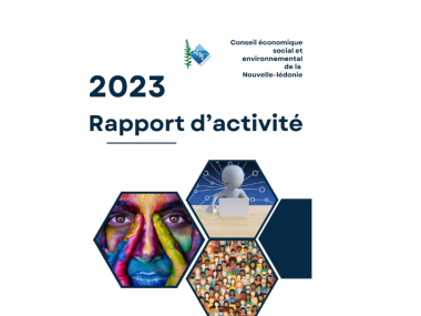 Rapport d'activité 2023 du CESE-NC