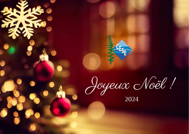 Joyeux Noel à tous