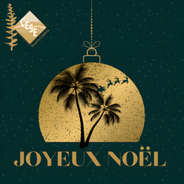 2025 Joyeux Noël