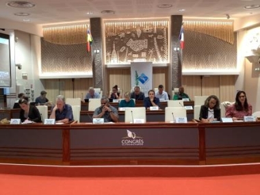 Bureau du CESE-NC et invités