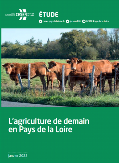 Rapport du Conseil Économique Social et Environnemental (CESER) du Pays de la Loire.