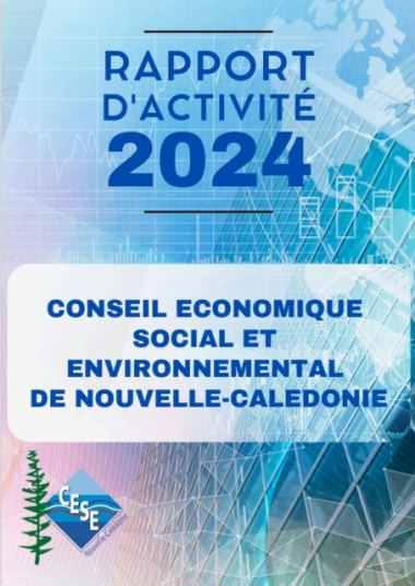 Rapport d'activité 2024 du conseil économique, social et environnemental de la Nouvelle-Calédonie.