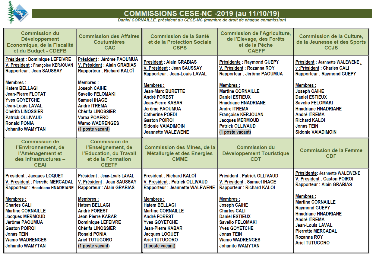 Tableau des commissions du CESE-NC au 11 octobre 2019.