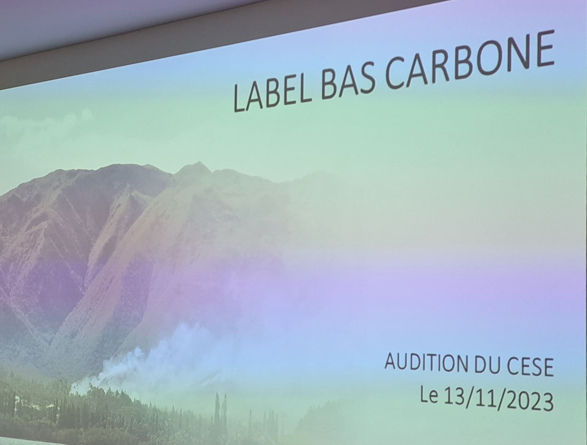 Affiche Label Bas Carbone audition CESE NC